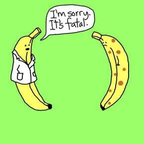 \"bananas\"